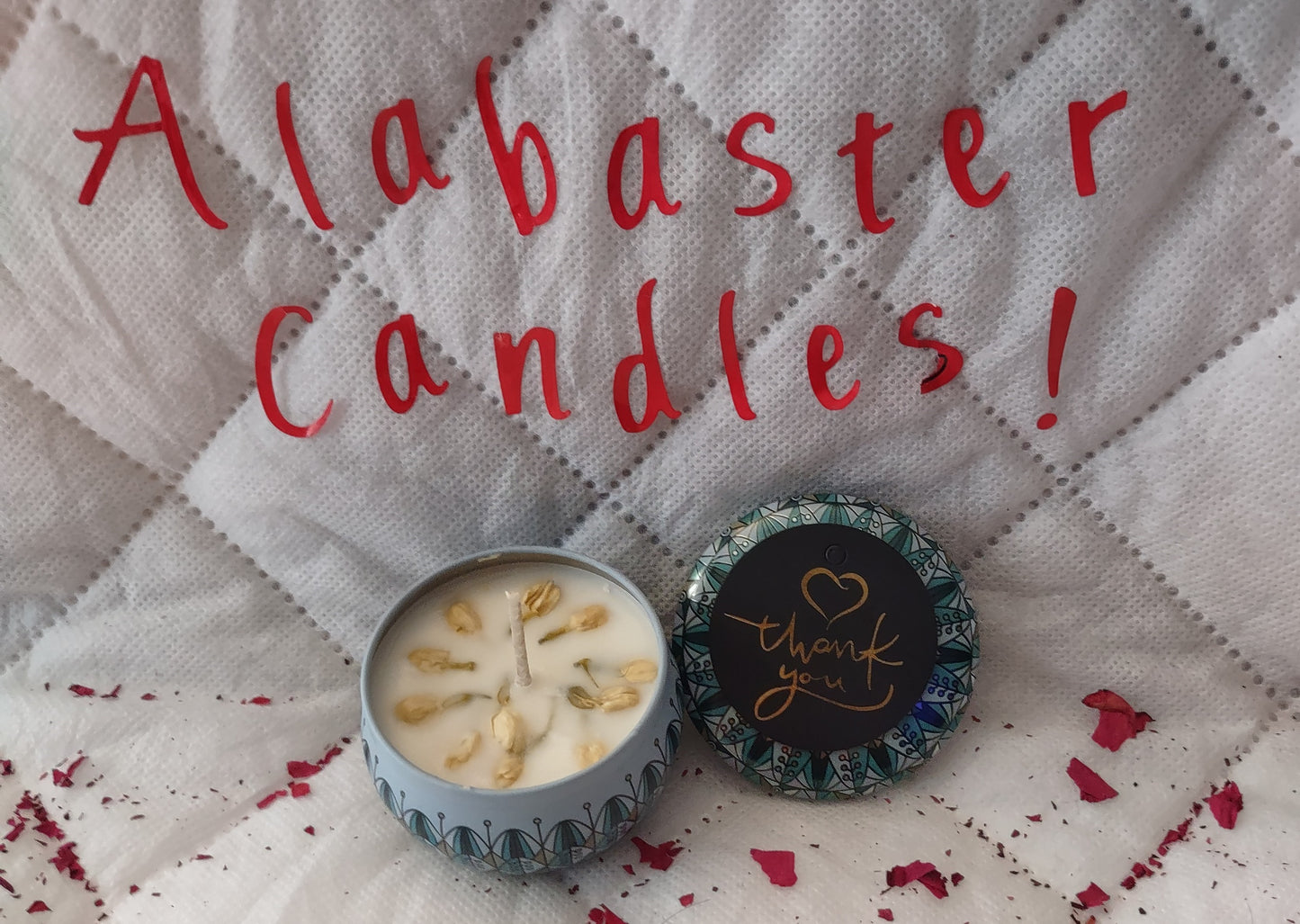 Cardamom True Sugar Fragrance Candles (Soy)